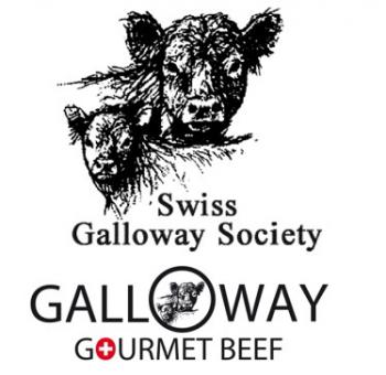 Galloway Gourmet Beef