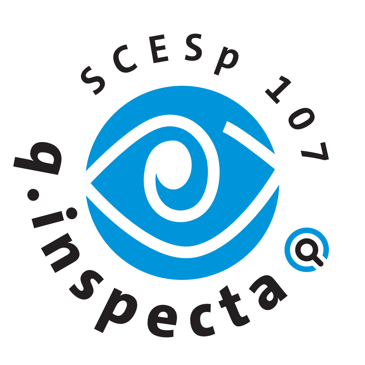 q.inspecta con codice