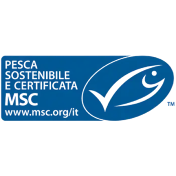MSC CoC