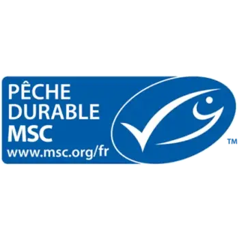 MSC CoC
