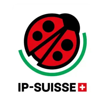 IP-SUISSE