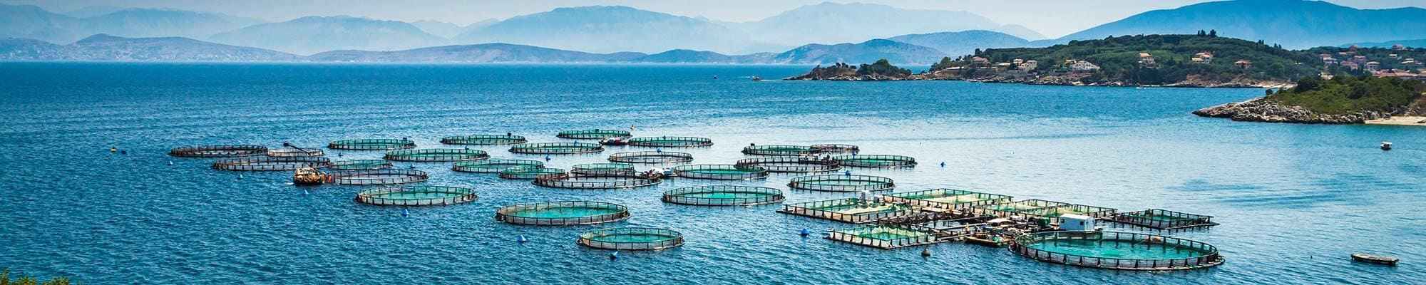 Aquaculture and fisheries