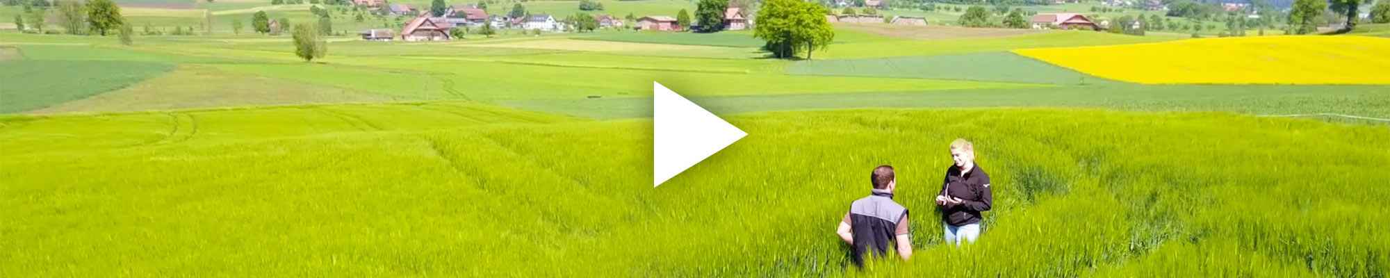 Video Organic farm assessment