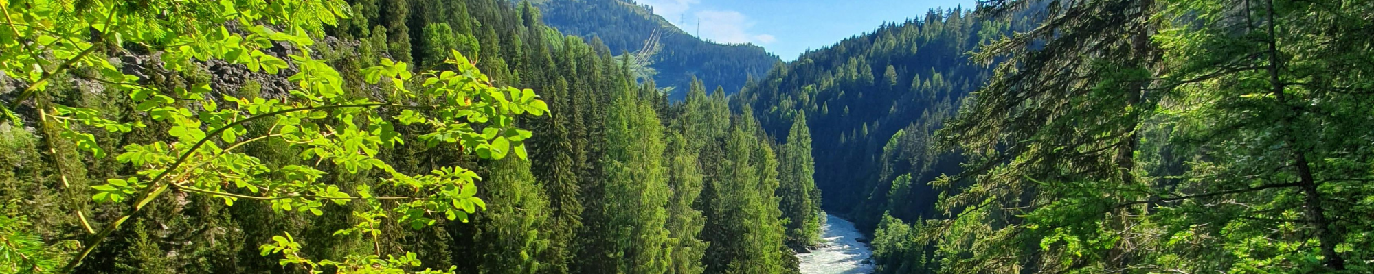 Schweizer Naturholz-Pellets