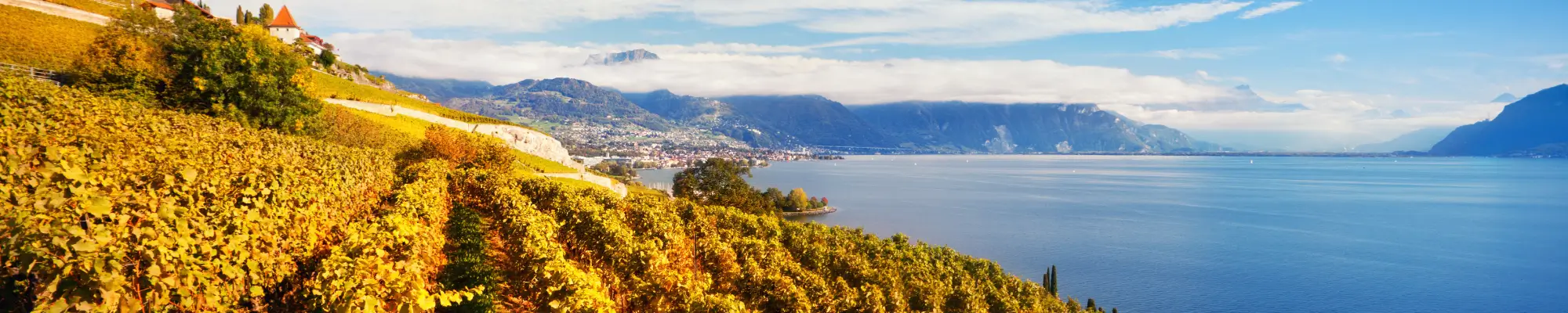 vignobles de Lavaux avec lac Léman en automne – 10 ans bureau Romandie bio.inspecta
