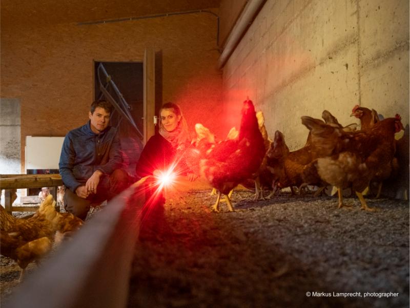 Men Women Chicken Coop