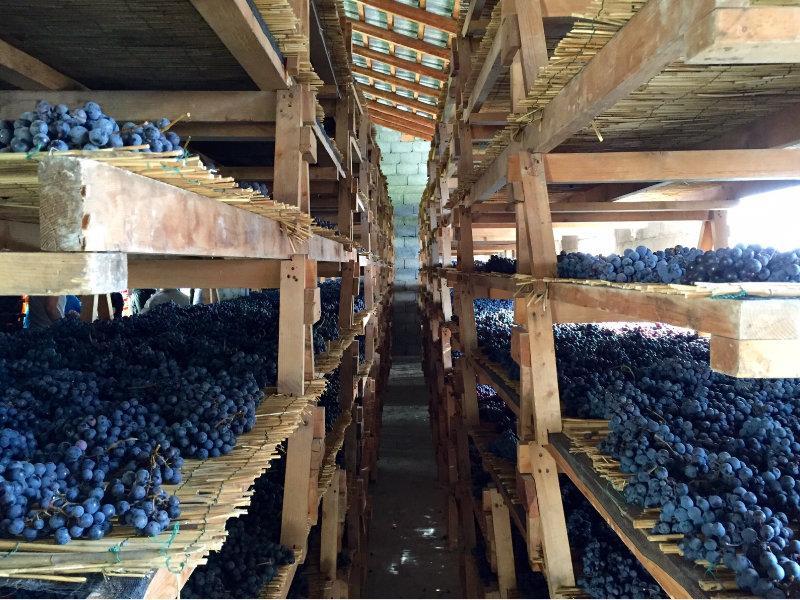 BLOG_Cave à raisins en bois bleu