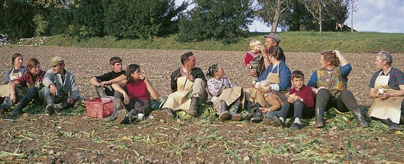 Family in organic farm