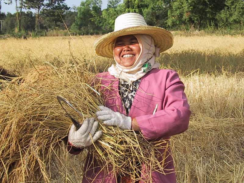 Donna con grano commercio equo e solidale