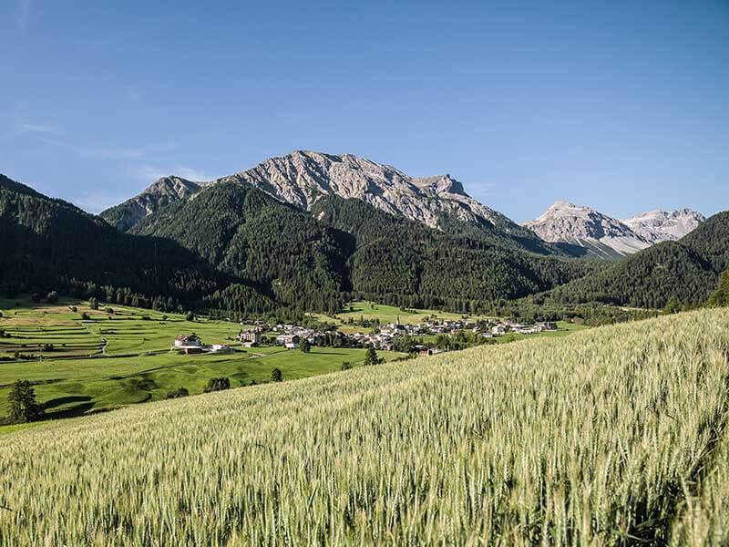 ValMuestair_valley