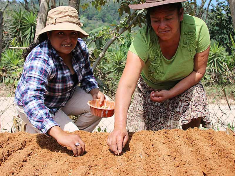 two women fair trade