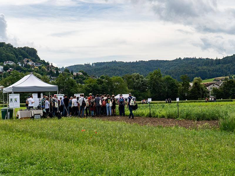 BLOG organic tillage demonstration