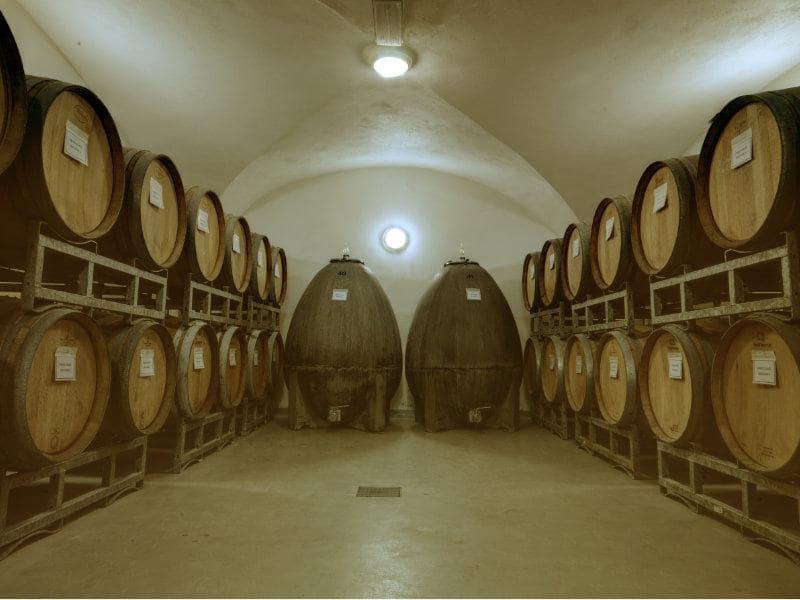 BLOG_Cave à vin zanolari