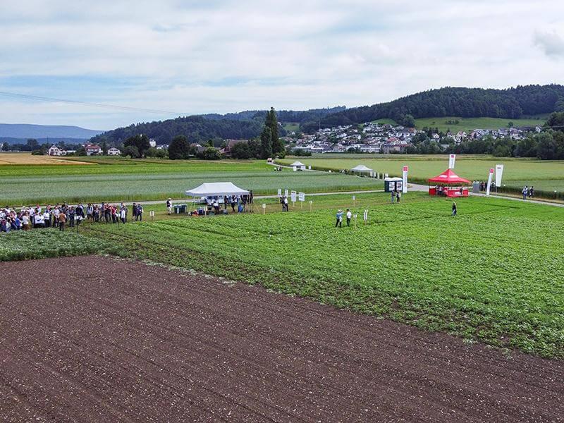 BLOG agricoltura biologica campo