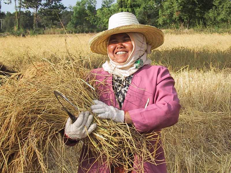 woman with grain fair trade