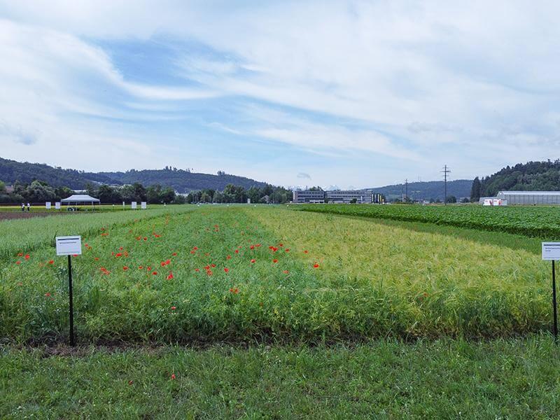 BLOG fattoria agricoltura biologica