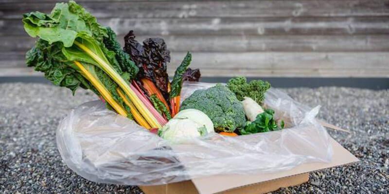 Biobox avec légumes