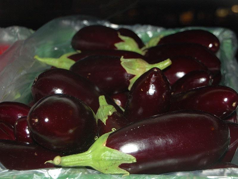 BLOG_week_market_aubergines