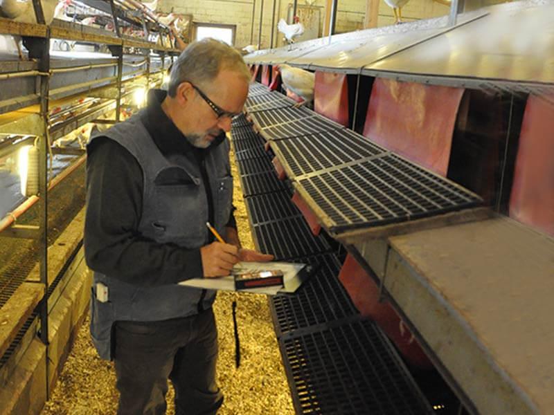 Organic control year 2019 Review stable and Pius