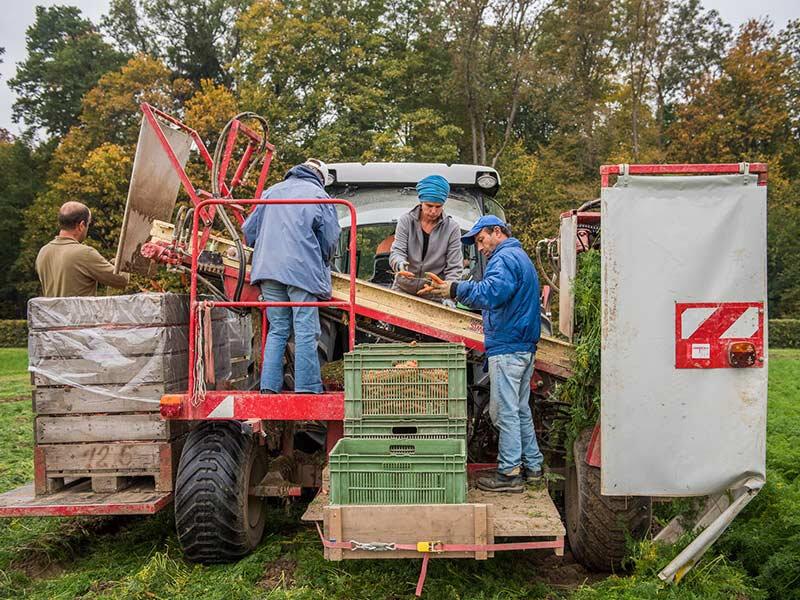 tractor with organic carrots