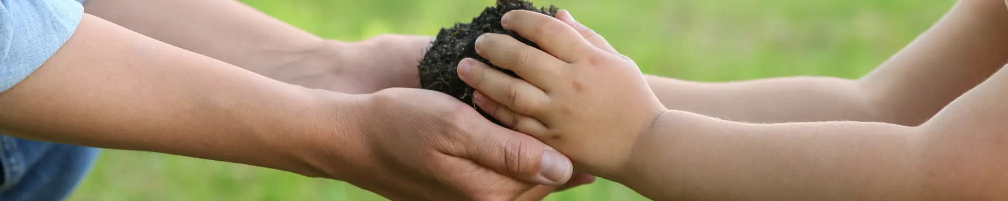 Green Care Schweiz