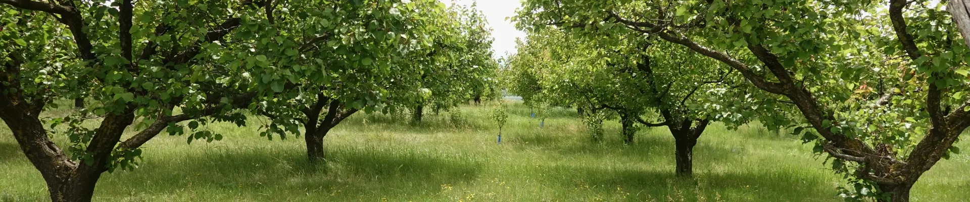 Regenerative Organic Certified™