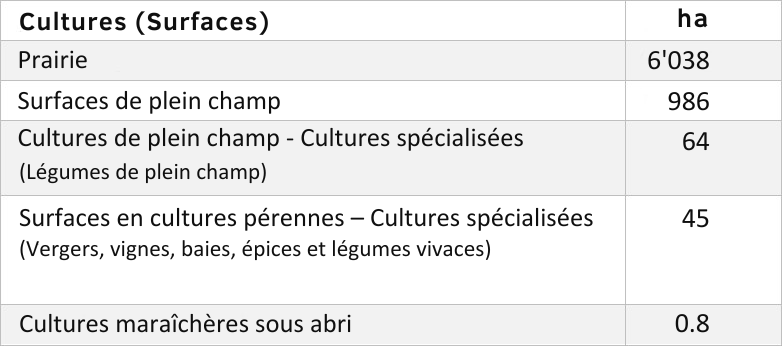 Fig Cultures