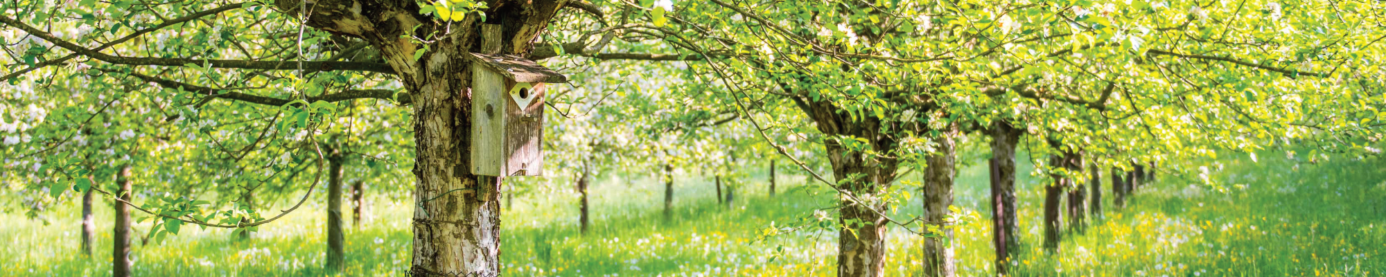 Bilancio climatico nell'agricoltura