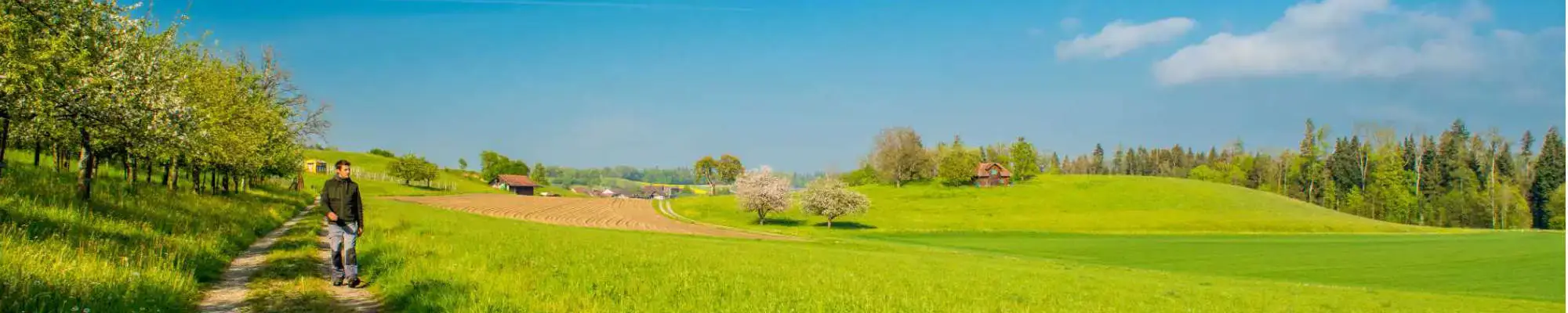 Header homepage bio inspecta man controls fields
