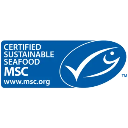 Icon MSC CoC